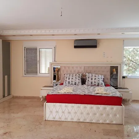 Moonlight Αλάνια